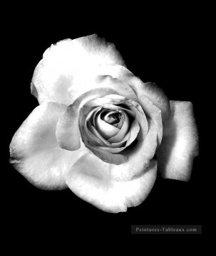 Noire et blanche œuvres - xsh507 fleurs noires et blanches